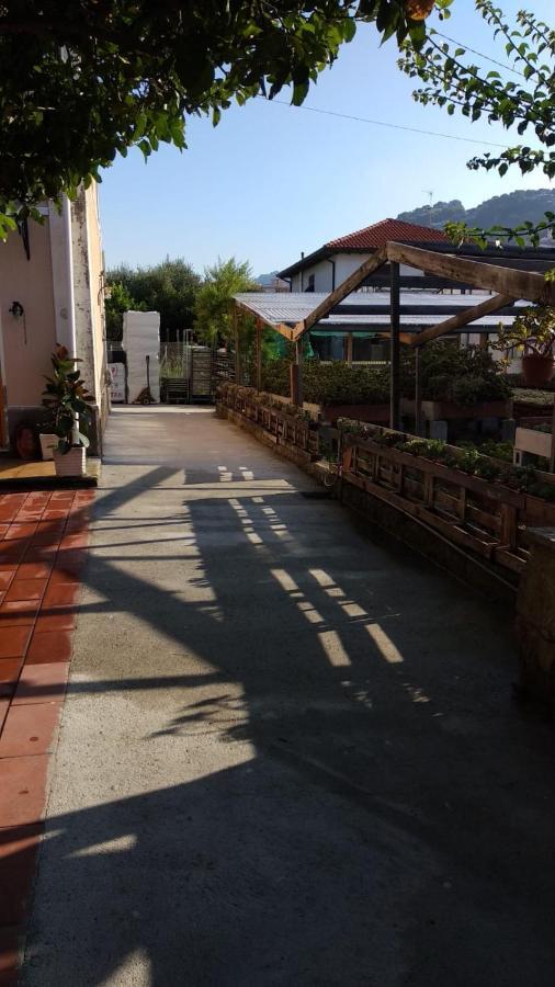 Ca' Federica Villa Vallecrosia Buitenkant foto